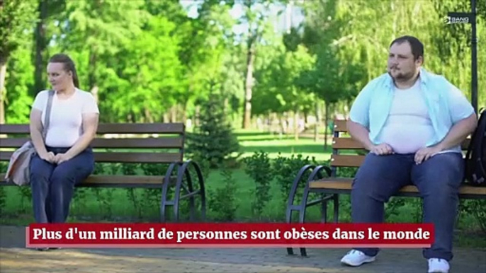 Plus d'un milliard de personnes est obèse dans le monde