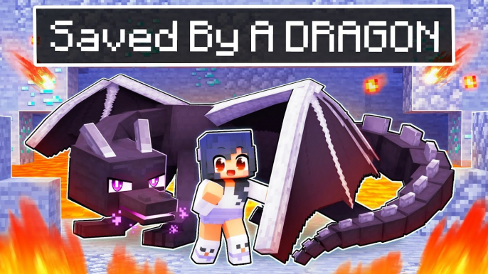 Aphmau Was SAVED By A DRAGON In Minecraft!