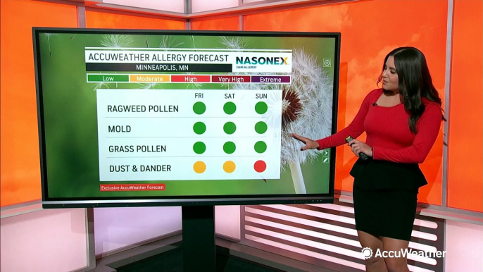 Your AccuWeather allergy forecast for the weekend