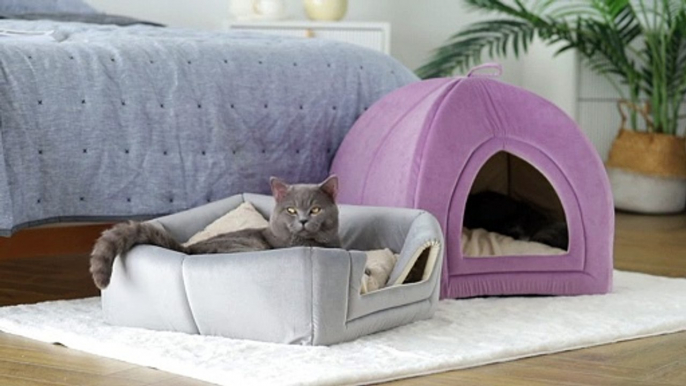 Cat Cave Pet Beds on Amazon from Kasentex