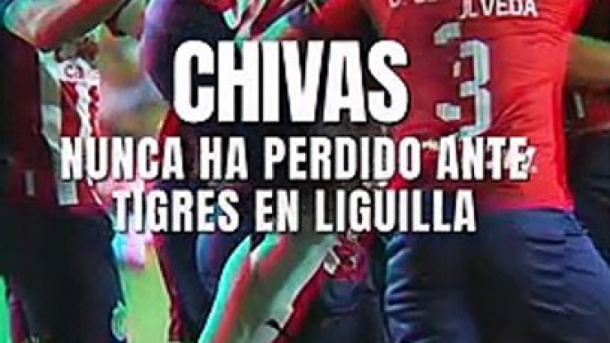 Chivas vs Tigres Final: El Rebaño nunca ha perdido ante los felinos en liguilla - Futbol Total