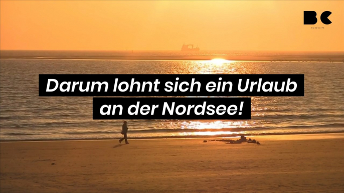 Darum lohnt sich ein Urlaub an der Nordsee!