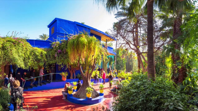 Pénétrez dans le jardin Majorelle, véritable joyau naturel du Maroc