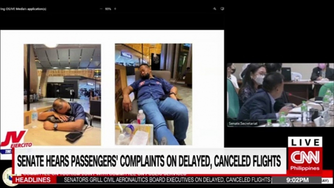 Senate hears passengers' complaints on delayed, canceled flights