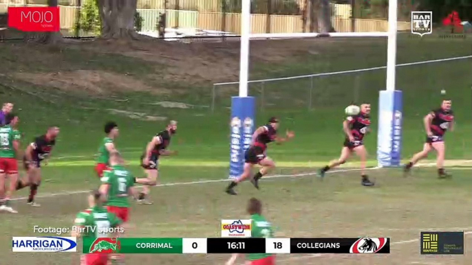 Corrimal v Collegians highlights | July 16, 2023 | Illawarra Mercury