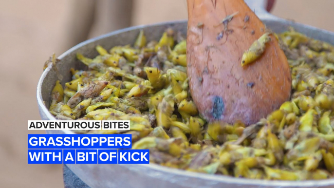 Adventurous Bites: Apparently grasshoppers are better than chicken!