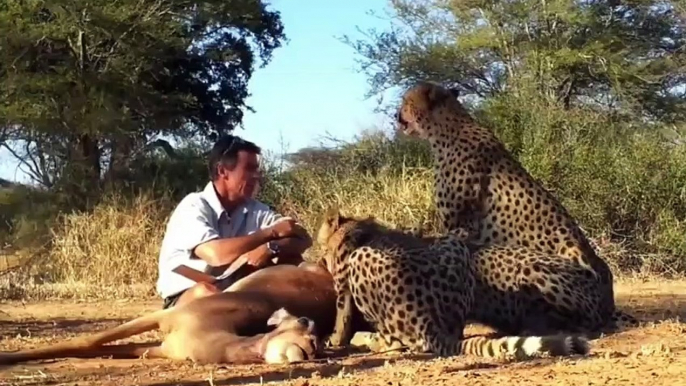 When the animals suddenly appeared  When Wild Animals Surprised Photographers