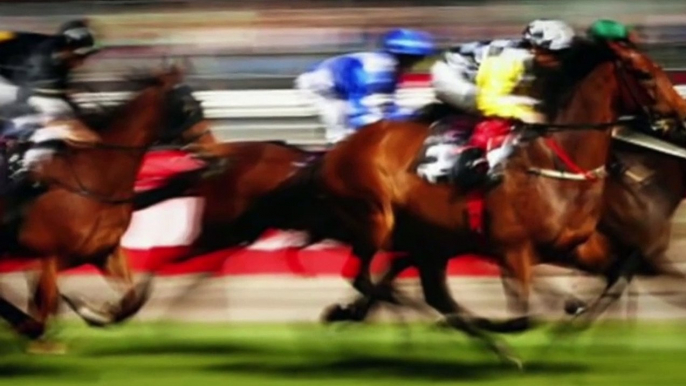 Woah Shamrock! Rider loses control of retired racehorse