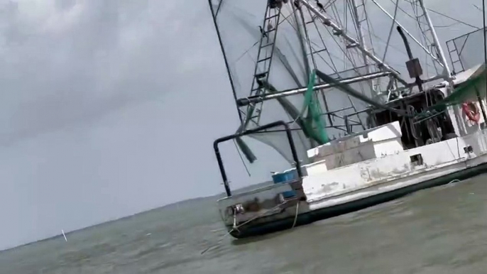 Pescador capta a delfín rosado; fue increíble, dice