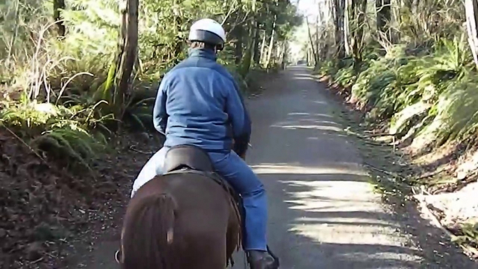 Spooky Horse Gives Trainers a Scare