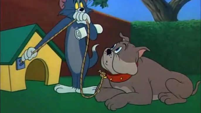 Tom and Jerry - Fit to be tied - Hindi cartoon - AR Toonz Tv