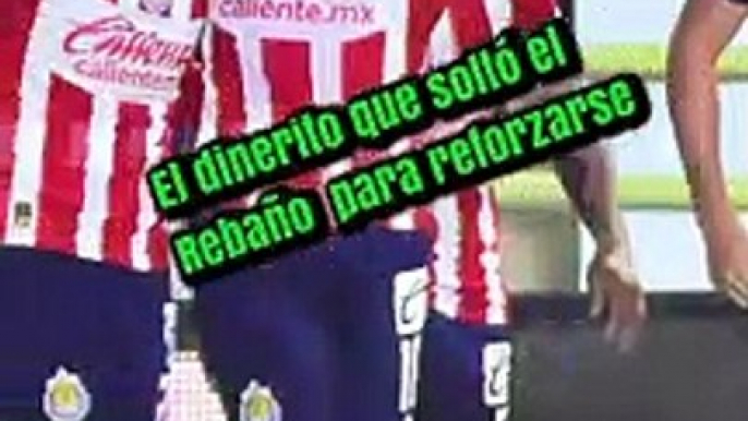 ¿Cuánto pagó Chivas para reforzarse en el Apertura 2023 de Liga MX? - Futbol Total MX