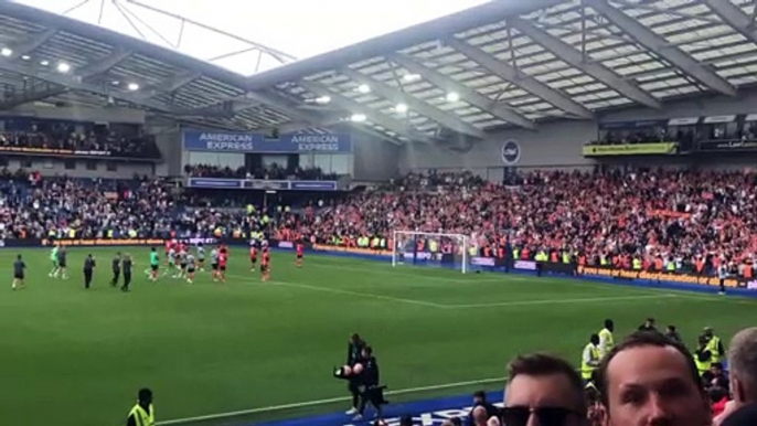 Luton Town's fans at Brighton