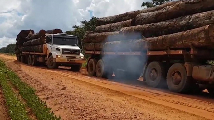 Amazing Dangerous Fastest Big Tree Felling Skills - Biggest Chainsaw Wood Cutting Machines--#26