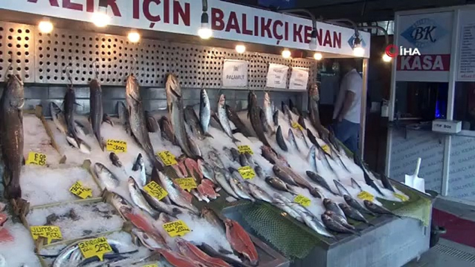 Message d'abondance de glands à un jour de la fin de l'interdiction de pêche dans les mers