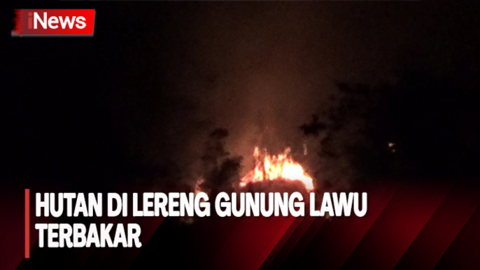 Hutan di Lereng Gunung Lawu Terbakar, Areal Seluas 9 Hektare Gosong