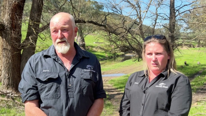 NSW government earmarks hundreds of kilometres of powerlines, but landowners say their land will be irreversibly damaged