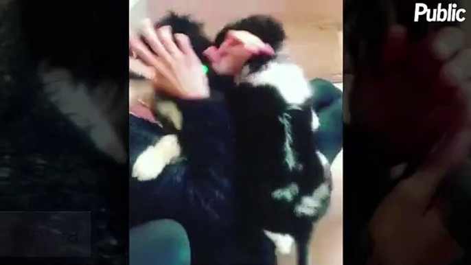 Vidéo : Nina Dobrev : Sans défense face à deux petits chiens !