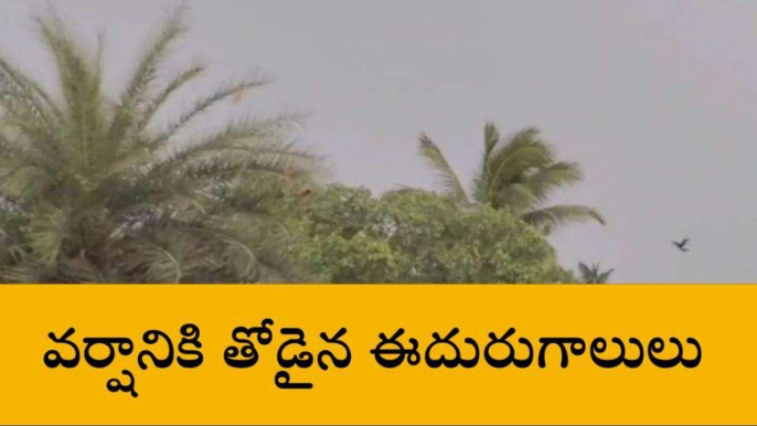 శ్రీకాకుళం జిల్లా: ఉరుములు, మెరుపులతో భారీ వర్షం