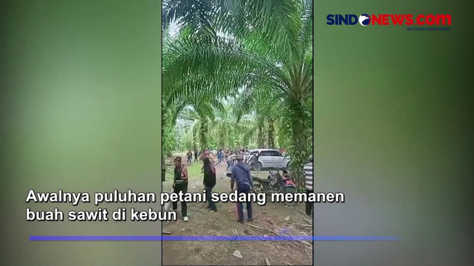 Petani Sawit di Lampung Diserang Puluhan Orang dengan Sajam saat Panen