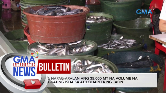 BFAR: Napag-aralan ang 35,000 MT na volume na aangkating isda sa 4th quarter ng taon | GMA Integrated News Bulletin