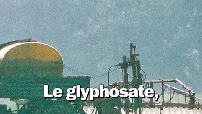 C'est quoi le problème avec le glyphosate ?
