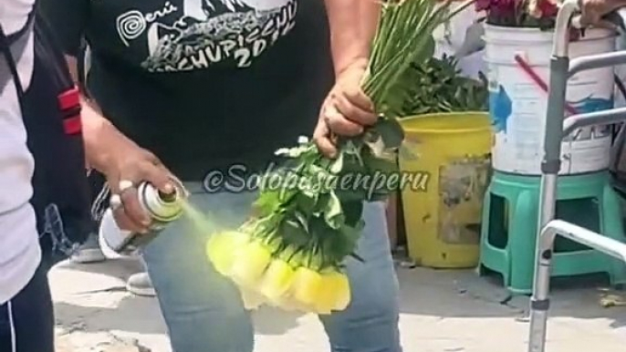 Mujer es captada pintando flores para volverlas amarillas.