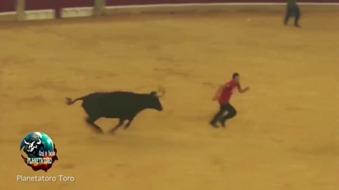 Il toro toglie i pantaloni al torero e lo mette in fuga