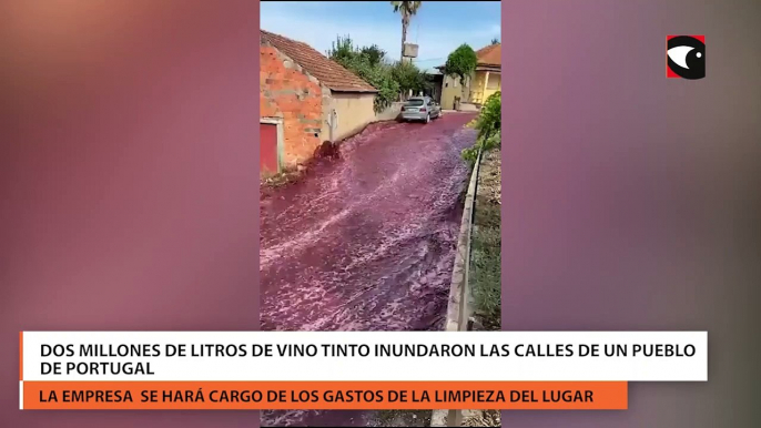 Dos millones de litros de vino tinto inundaron las calles de un pueblo de Portugal