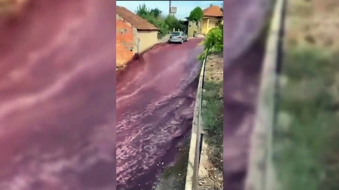 ext-millones de litros de vino tinto inundaron las calles de un pueblo de Portugal-1109+23