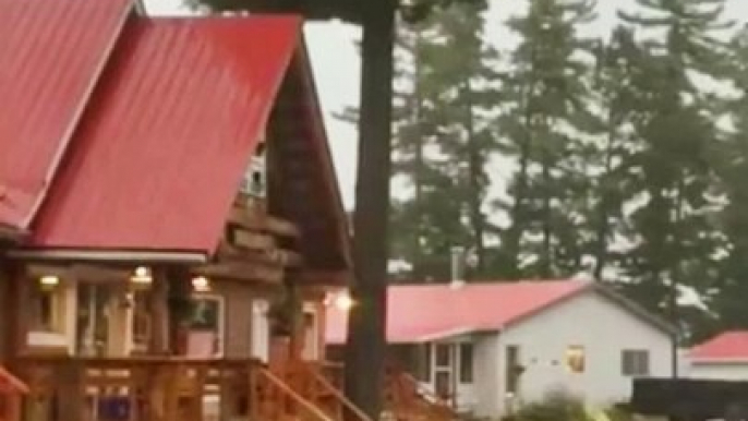 Intense Lightning Strike: Witness a Tree Get Struck at Close Range! #caughtoncamera