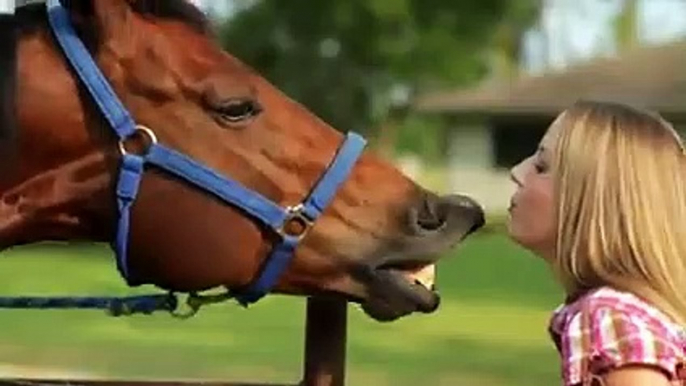 C'est Pourquoi Le Cheval s'est Vengé du Crocodile, Les 4 Batailles les Plus Féroces !!