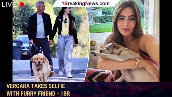 Sean Penn holds hands with new love on dog walk; Sofia Vergara takes selfie