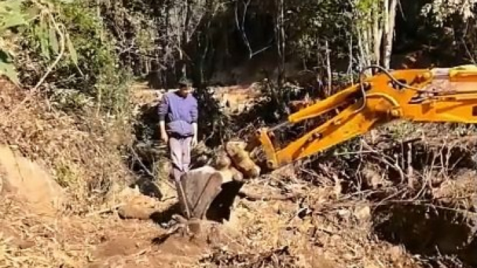 See how it took five months to open up barren hills and plant a whole ecological tea garden. @抖音小助手