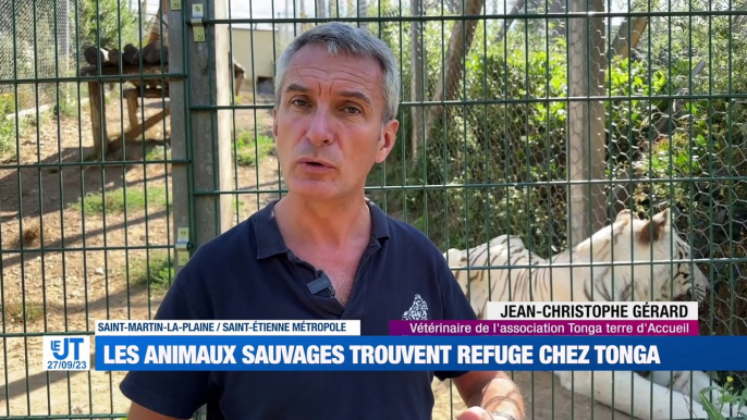 À la Une : Deux jours pour donner son sang à Saint-Etienne / Syvain Marconnet était à Saint-Etienne / l'école des XV lutte contre le décrochage scolaire / L'association Tonga Terre d'accueil est le refuge des animaux sauvages depuis 15 ans.