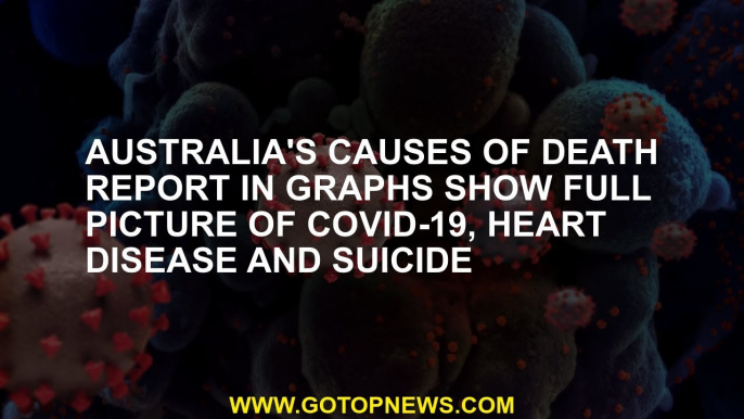 Australia's causes of death report in graphs show full picture of COVID-19, heart disease and suicid