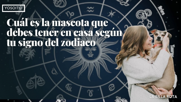 Cuál es la mascota que debes tener en casa según tu signo del zodiaco