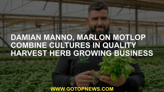 Damian Manno, Marlon Motlop combine cultures in Quality Harvest herb growing business