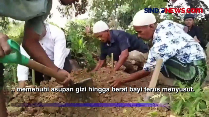 Alami Gizi Buruk, Balita 10 Bulan Meninggal di Mandailing Natal