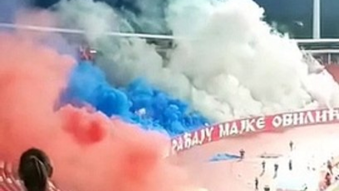 FK Crvena zvezda at home against Radnički Niš 30.09.2023. #ultras #ultrasworld #GoalGank12 #Superfans