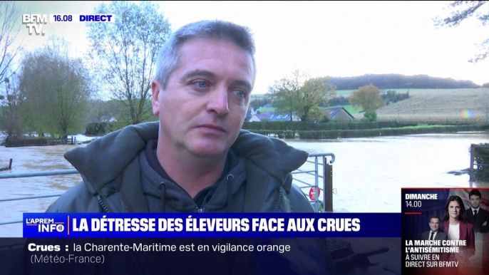 "Toutes mes bergeries sont pleines d'eau": Maxime Delianne, éleveur et maire de Maresville (Pas-de-Calais) témoigne de la situation dans sa commune face aux crues de la Canche