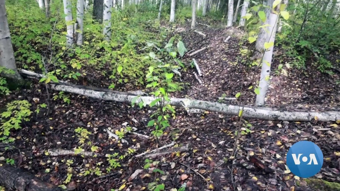 Alaska Scientists Warn of Thawing Permafrost