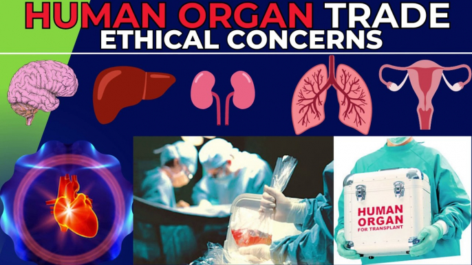 Human Organ Trade : Ethical Concerns