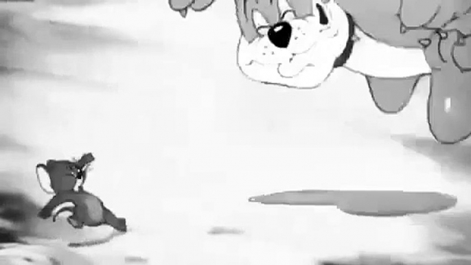 Tom and Jerry   Tom and Jerry Cartoon   Mouse For Dinner 1946  Tom And Jerry Cartoons