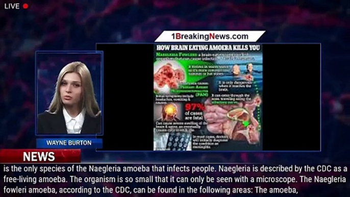 'Brain-eating amoeba' case suspected in Arizona: Here's what to know - 1breakingnews.com