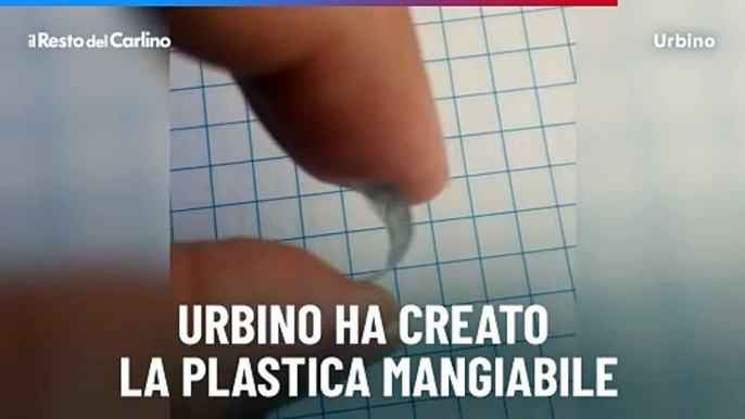 Urbino ha creato la plastica mangiabile