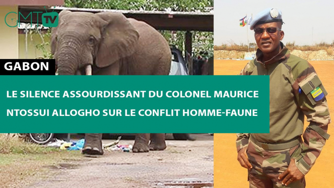 [#Reportage] #Gabon : le silence assourdissant du colonel Maurice Ntossui Allogho sur le conflit Homme-Faune