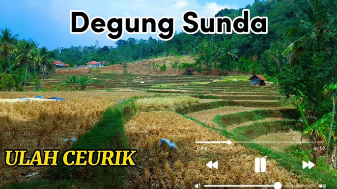 Degung Sunda - Suling (ulah ceurik)