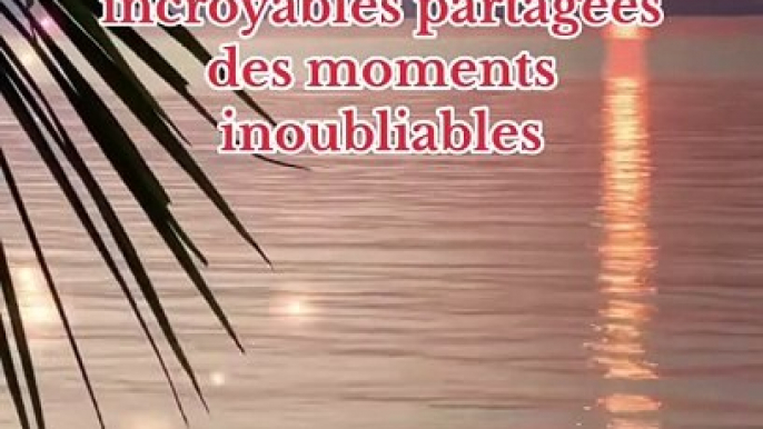 Je veux un vrai amour #citation #citations #proverbe #conseils #citationdujour