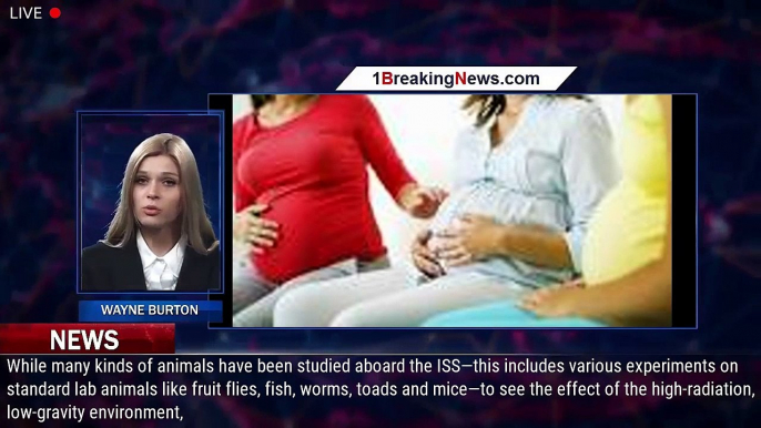 Can Humans Get Pregnant In Space? Scientists One Step Closer To Finding Out - 1BREAKINGNEWS.COM